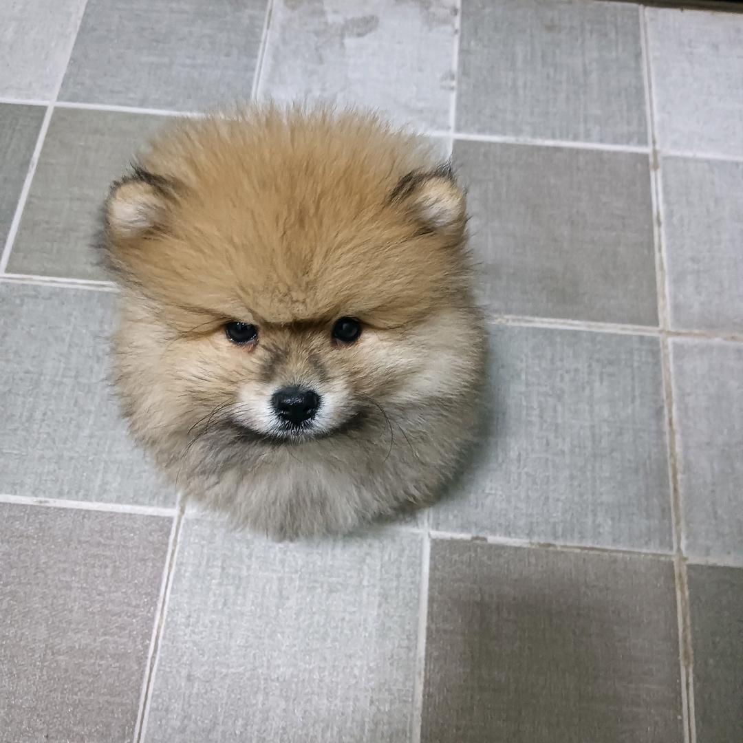 沉默中的委屈