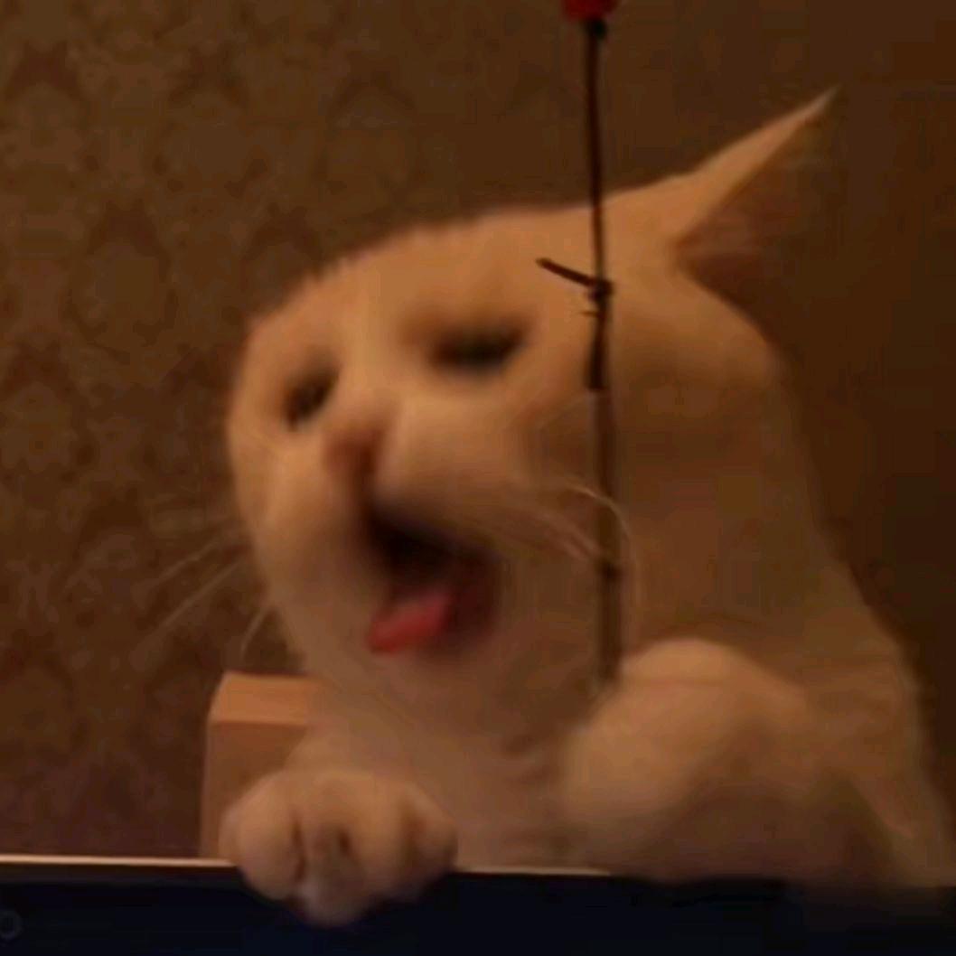 我领你克吃撒撇