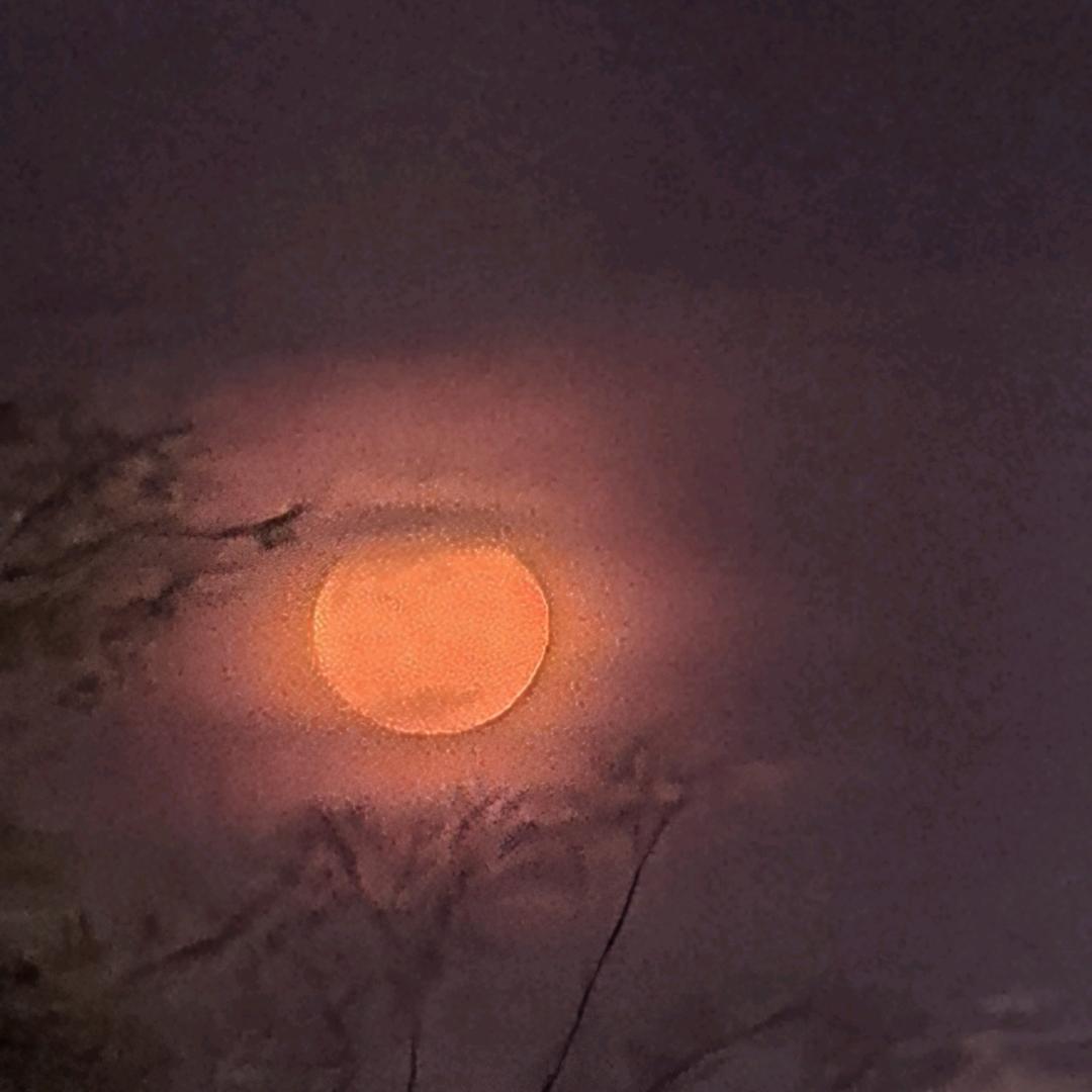 梦想剧场