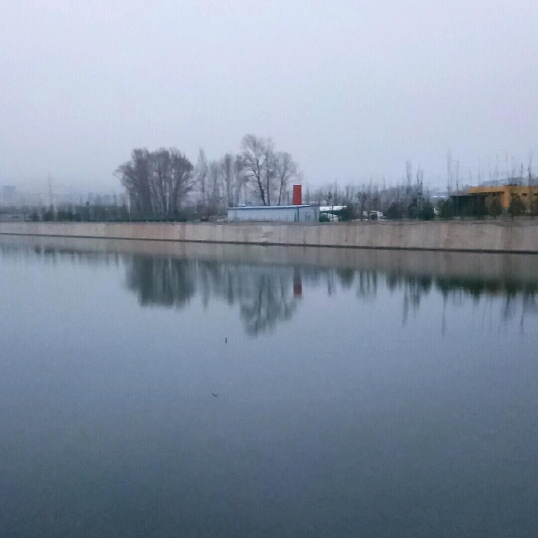 阿珍