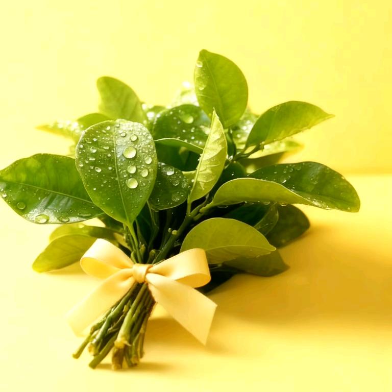 哟哟柚子茶