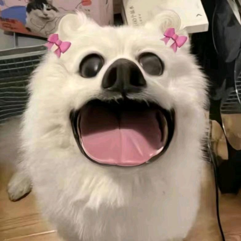 春暖花开^_^