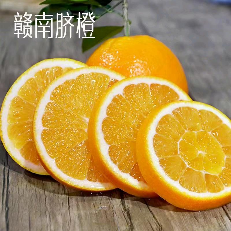 赣南脐橙.芳子