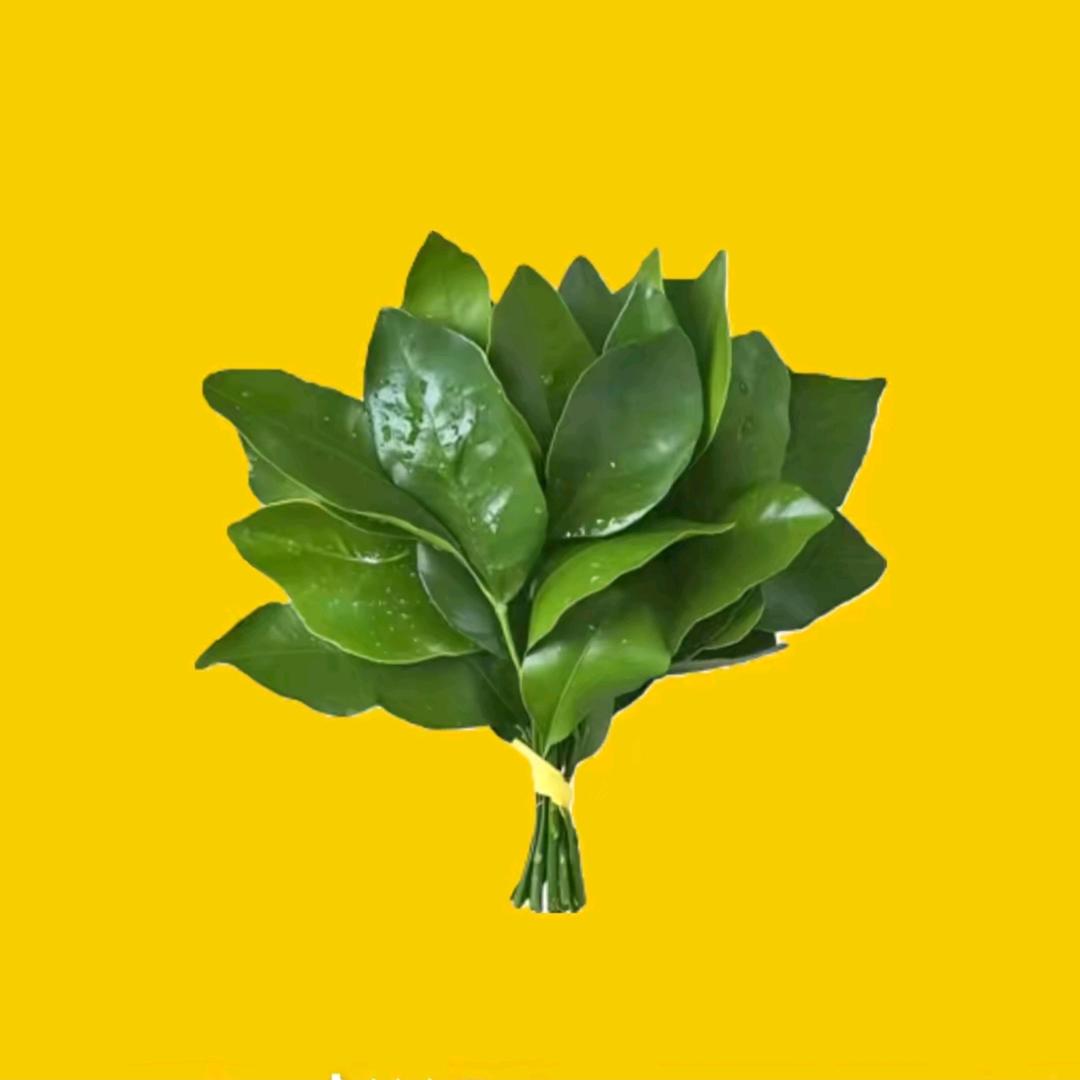 竹