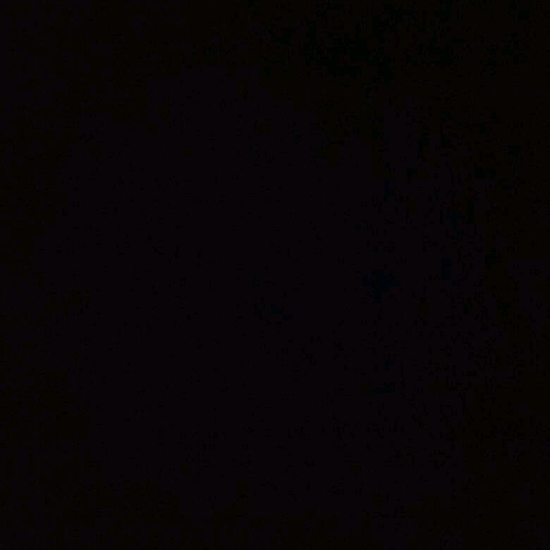 赌输了，输的很彻底