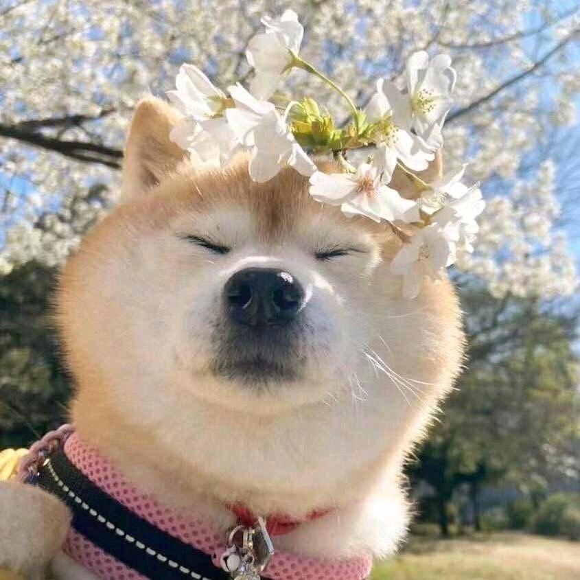 怀旧