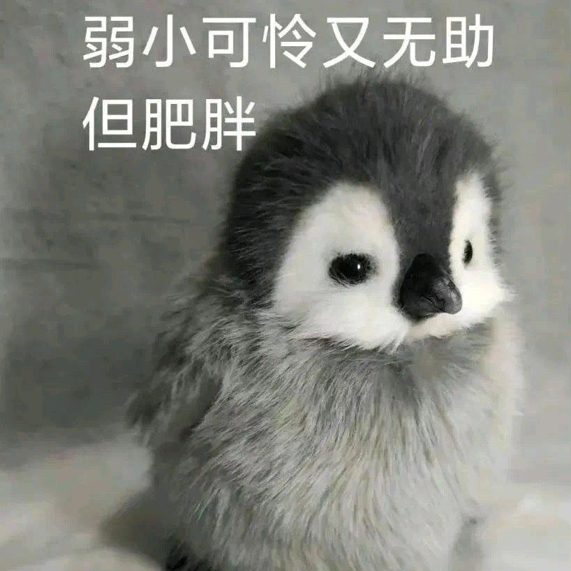 动如参与商