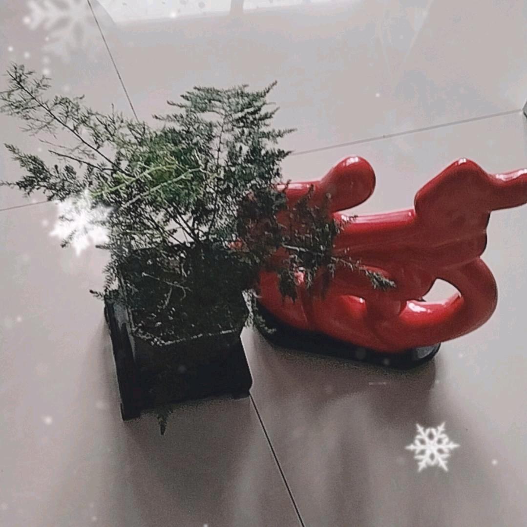 脉动..