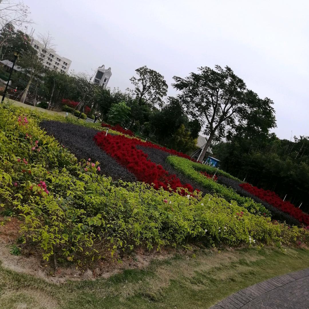 向阳而生
