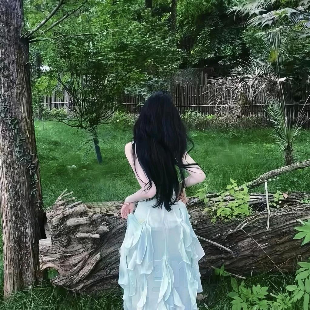 南木木