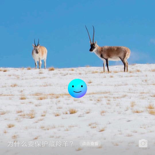 吴琼