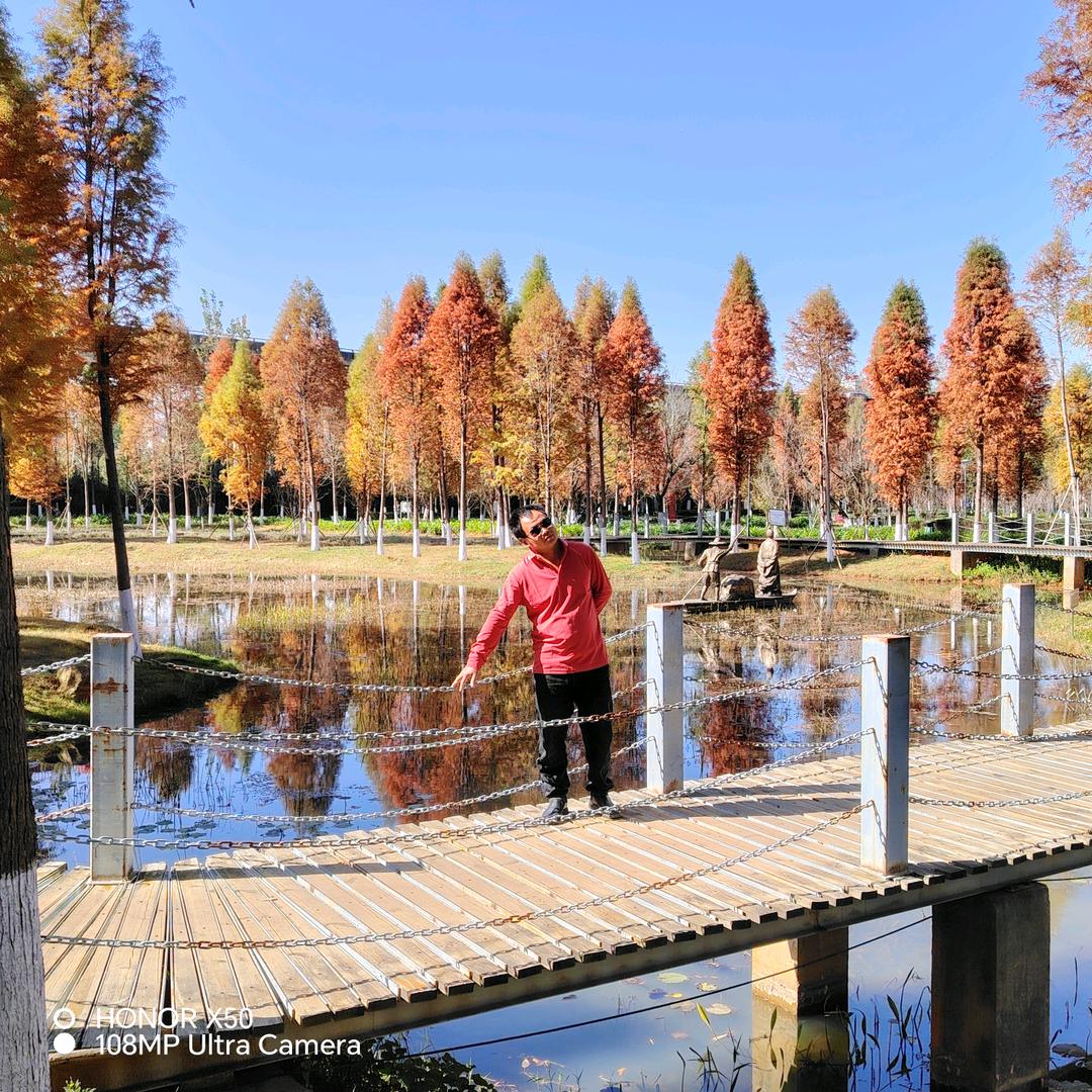 花样年华