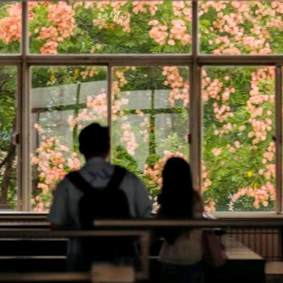 不胜欢喜人间客