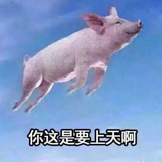 🚬大叔ᝰꫛ爱财²⁰²⁵࿐: 🚬༺