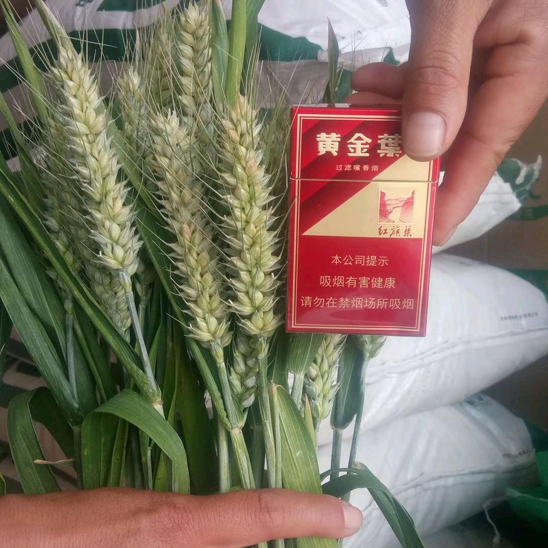 卫辉市保丰农资