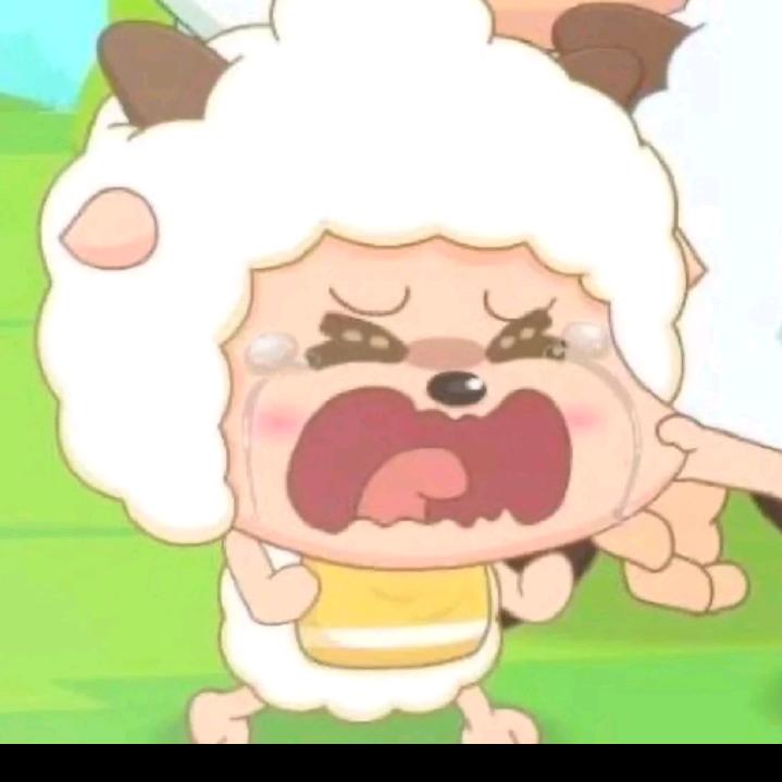 韩雨轩