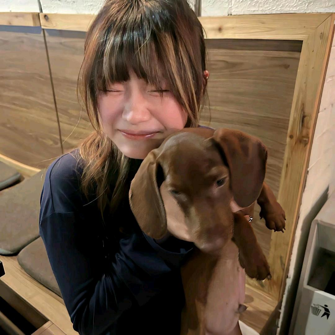 如果说、