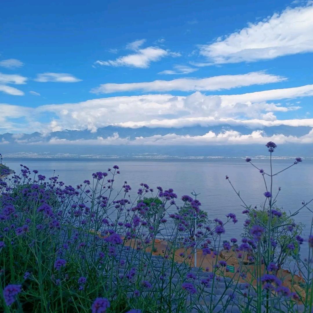 江浙沪酒店推荐官