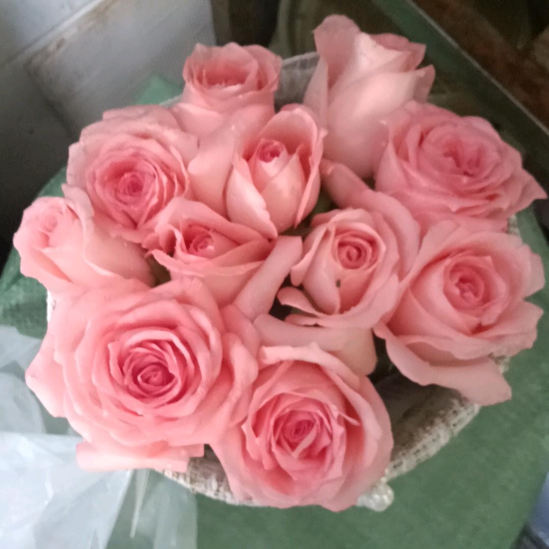 开心快乐每一天