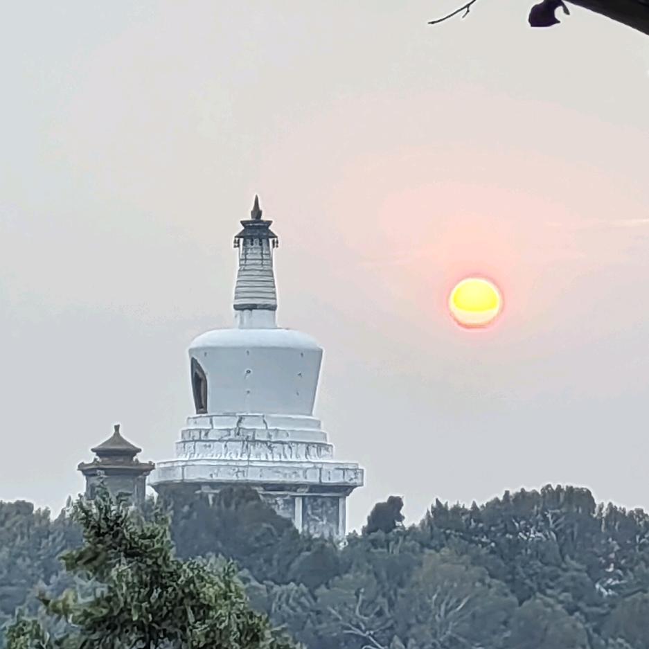熊猫游戏