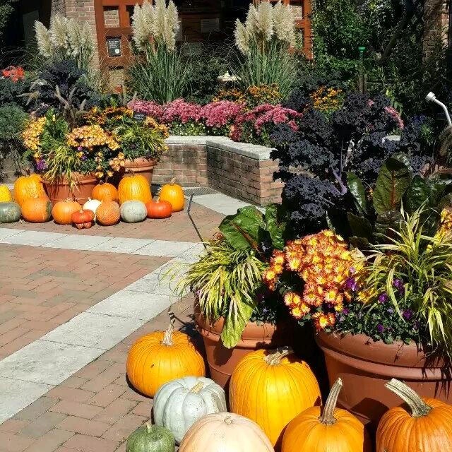 淡然🌈🌈🌈🍀🍀🍀