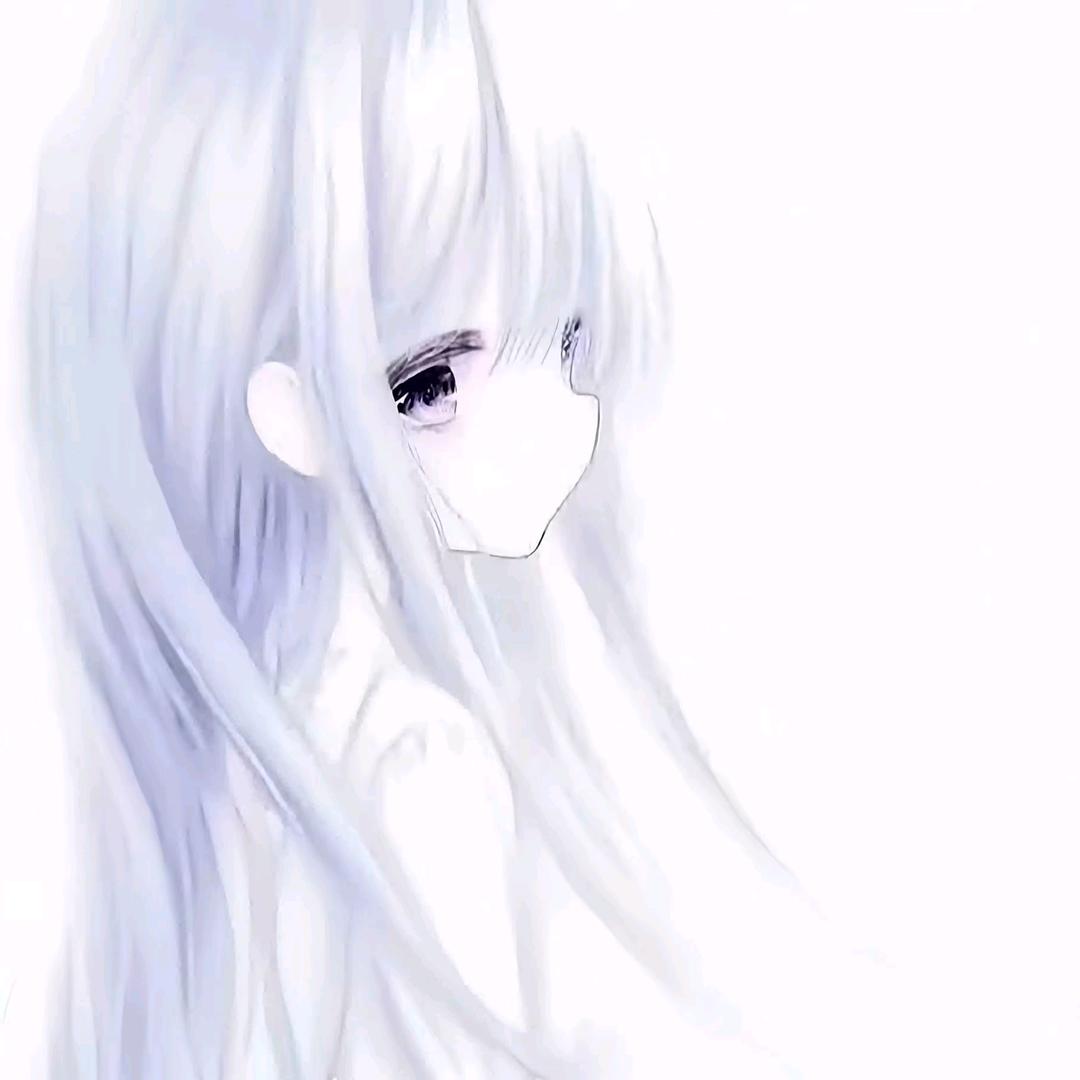 𝘽𝙖𝙤