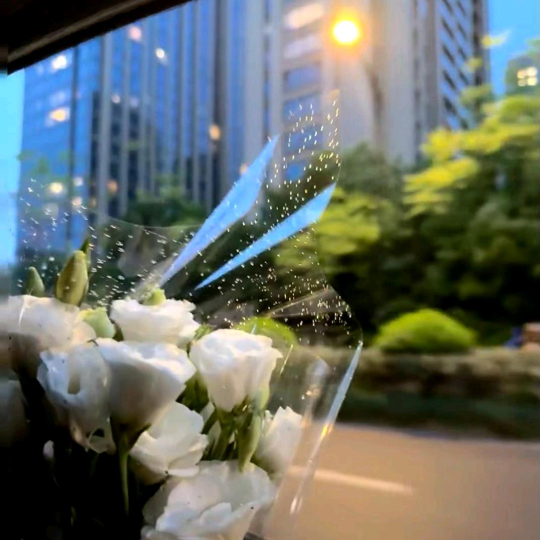 宁静致远，