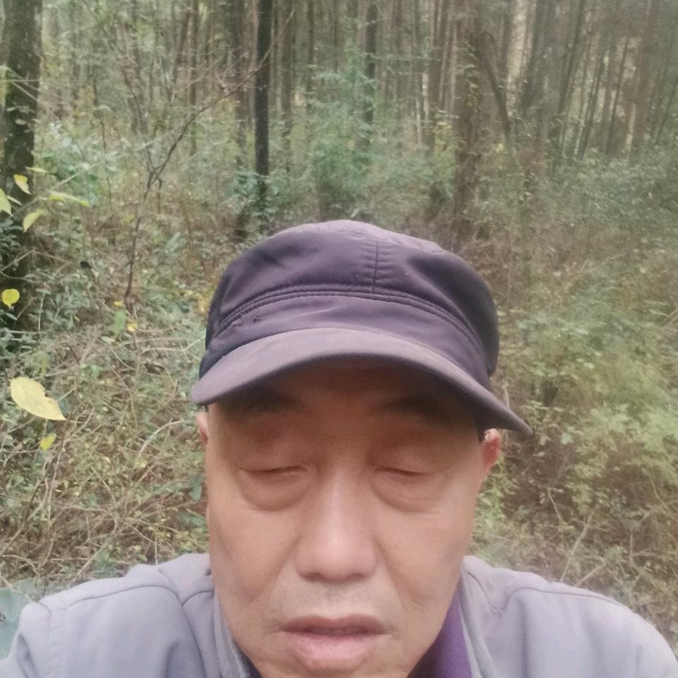 亲爱的你好。