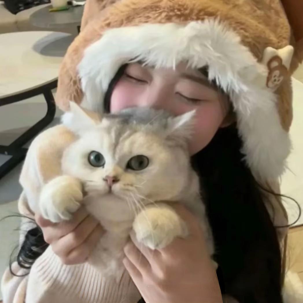 晕了咩𝙯ᙆ.