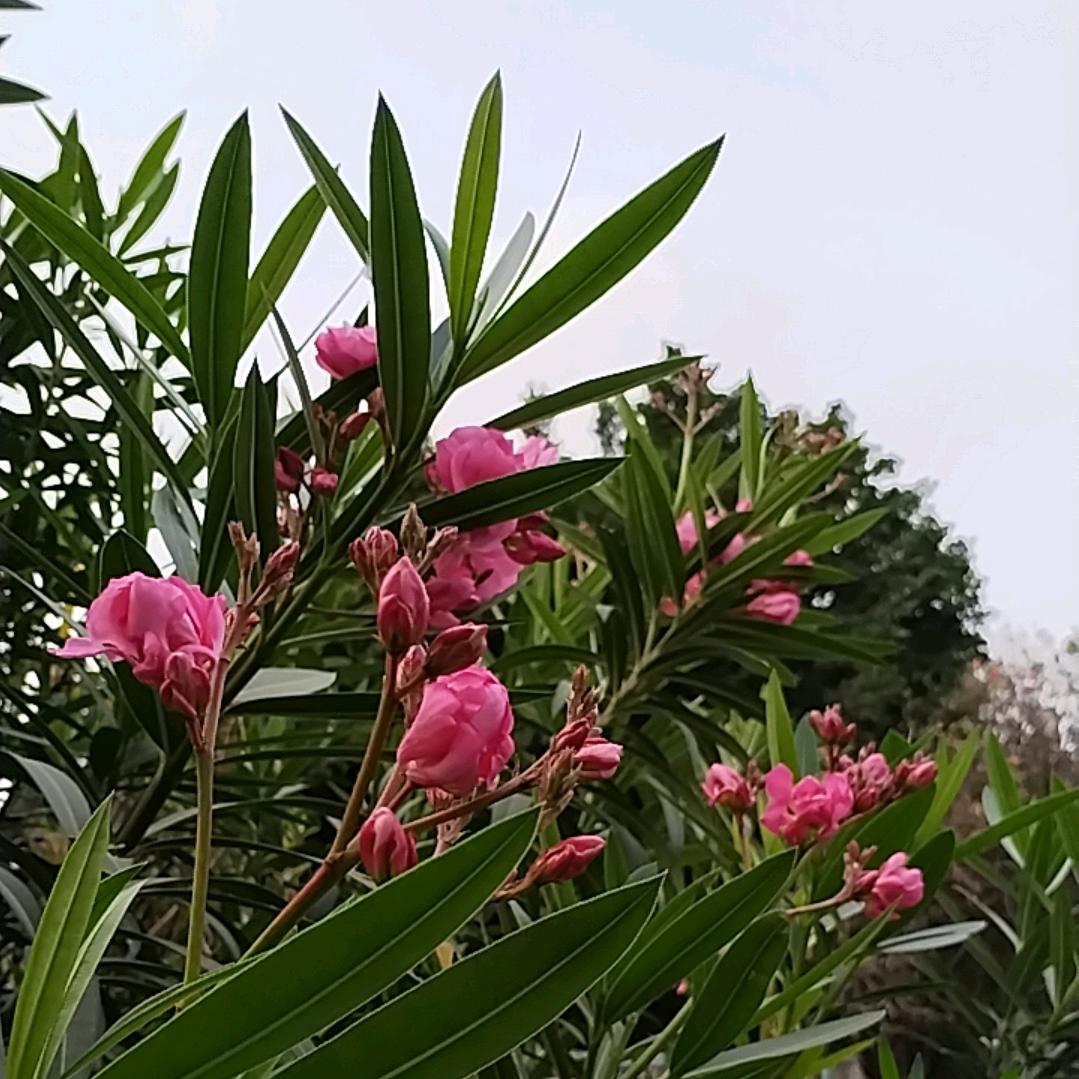 缘来是你