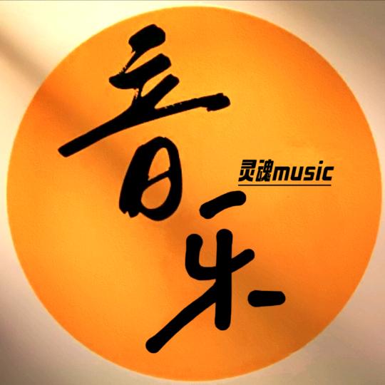 灵魂音乐【车载优盘】@抖音