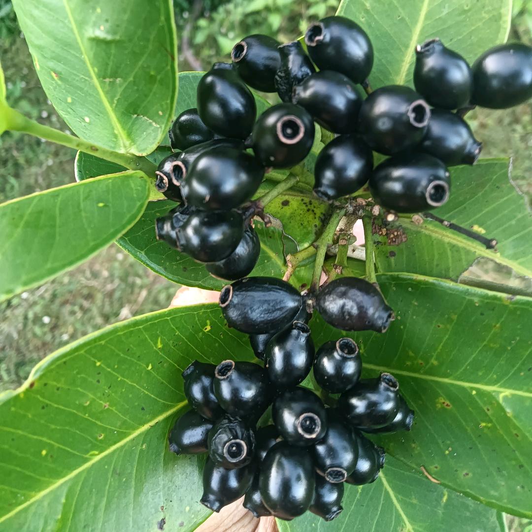 👯非你莫属👭