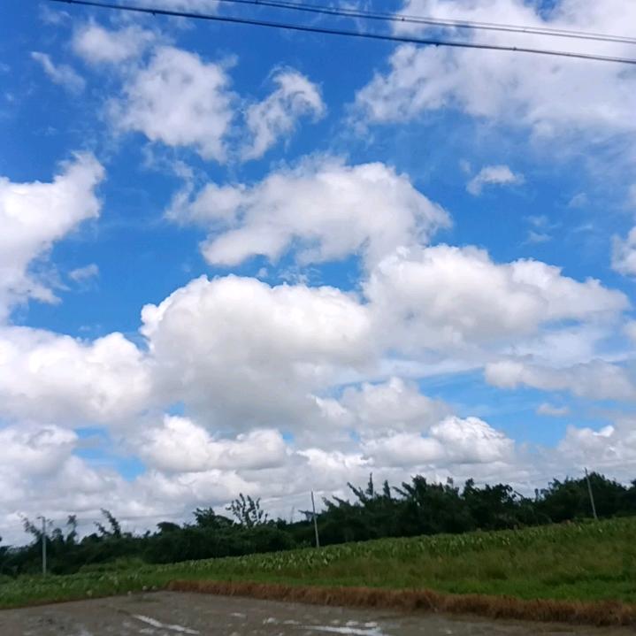 🐷花🌸开🌹富💰贵❣️🐮