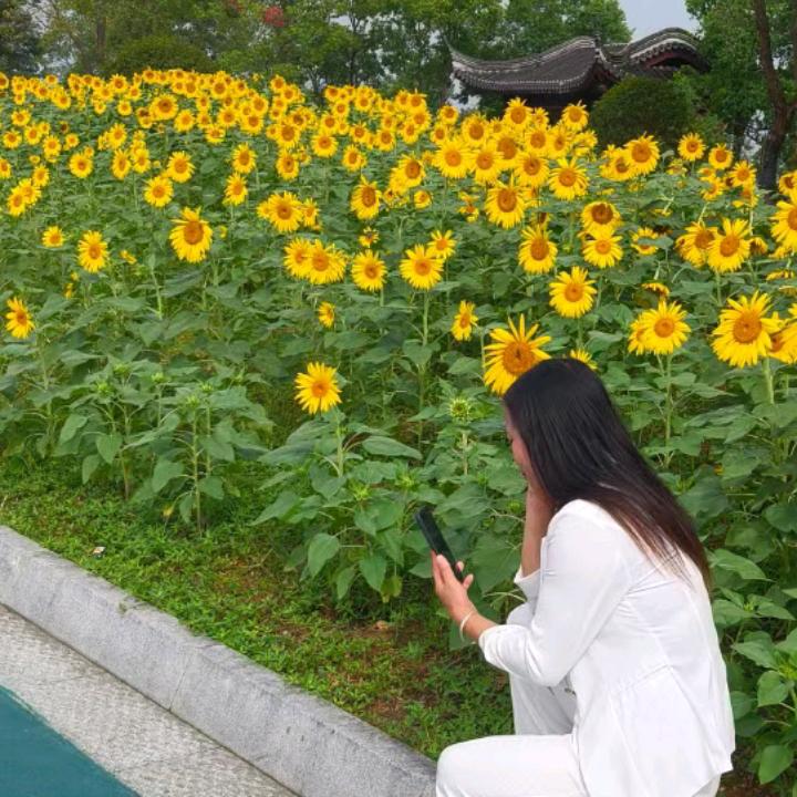 我心被你伤碎了