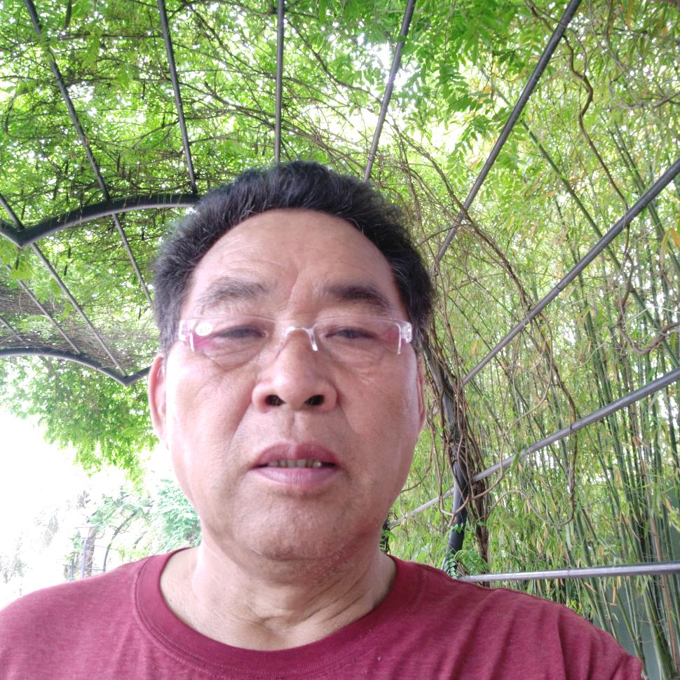 老杨雷