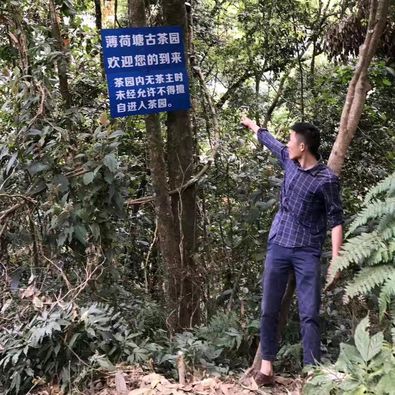 云南云茶商贸有限责任公司