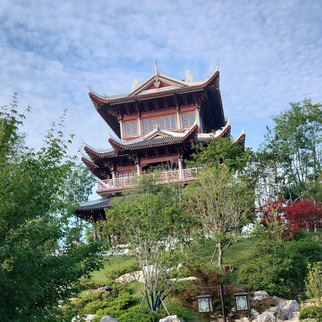 专业美缝徐😎💍🐍