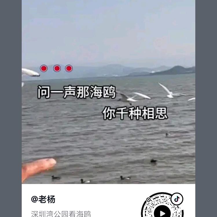 郑囯劳