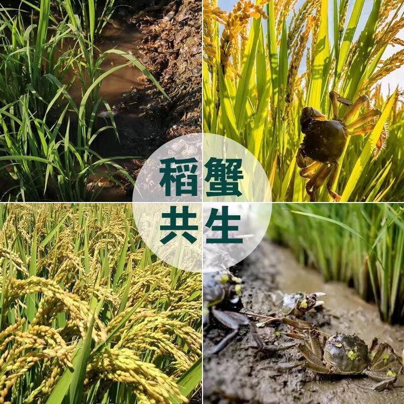 以城之名盘锦特产店