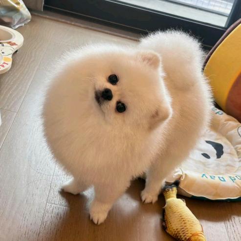 ·七十一格电🧇