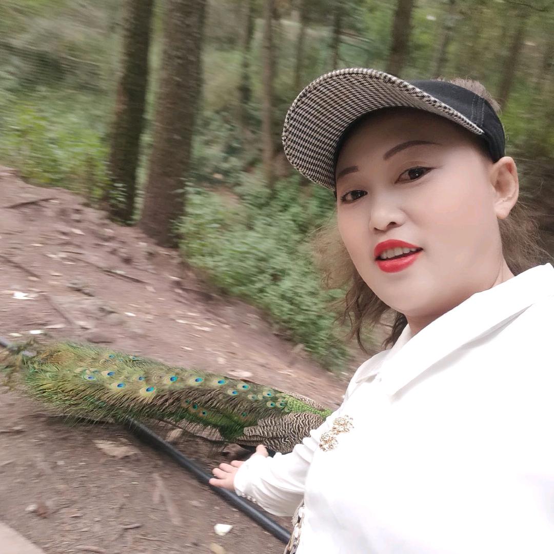 王燕爱山歌