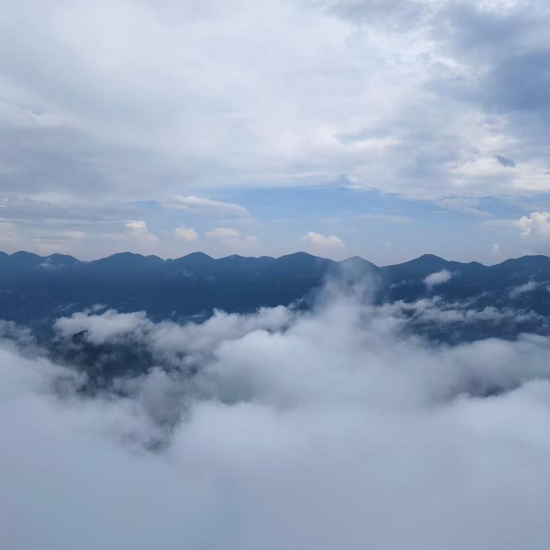 ༊ღ᭄董家ꦿ꯭菇凉꧔ꦿ᭄💞