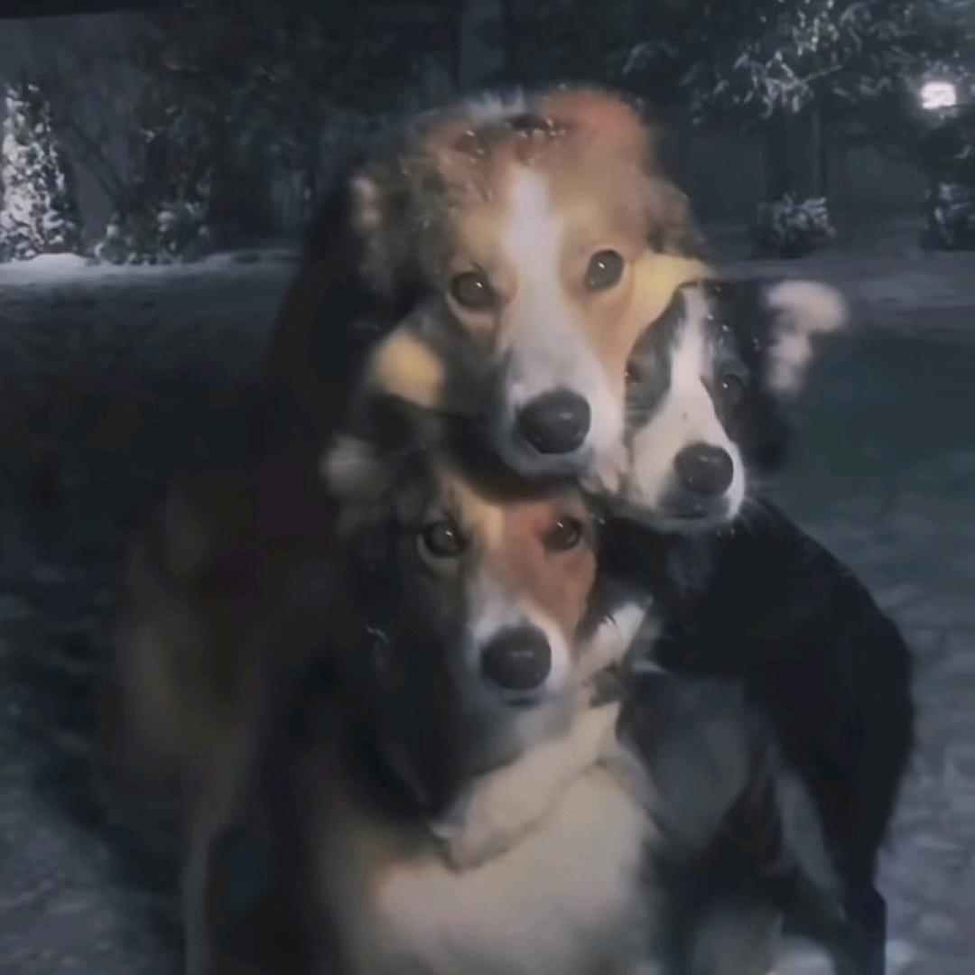 听首歌换个心情