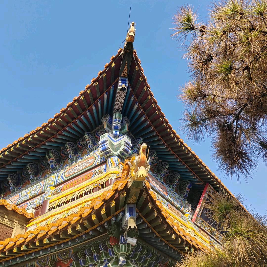 流水落花春去也