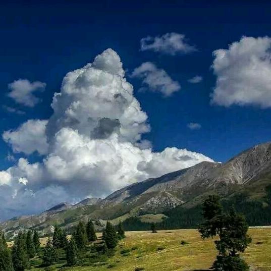 阳新县鹏枣百货店