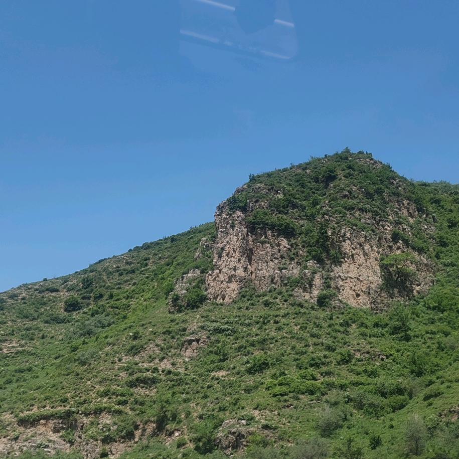 圭圭