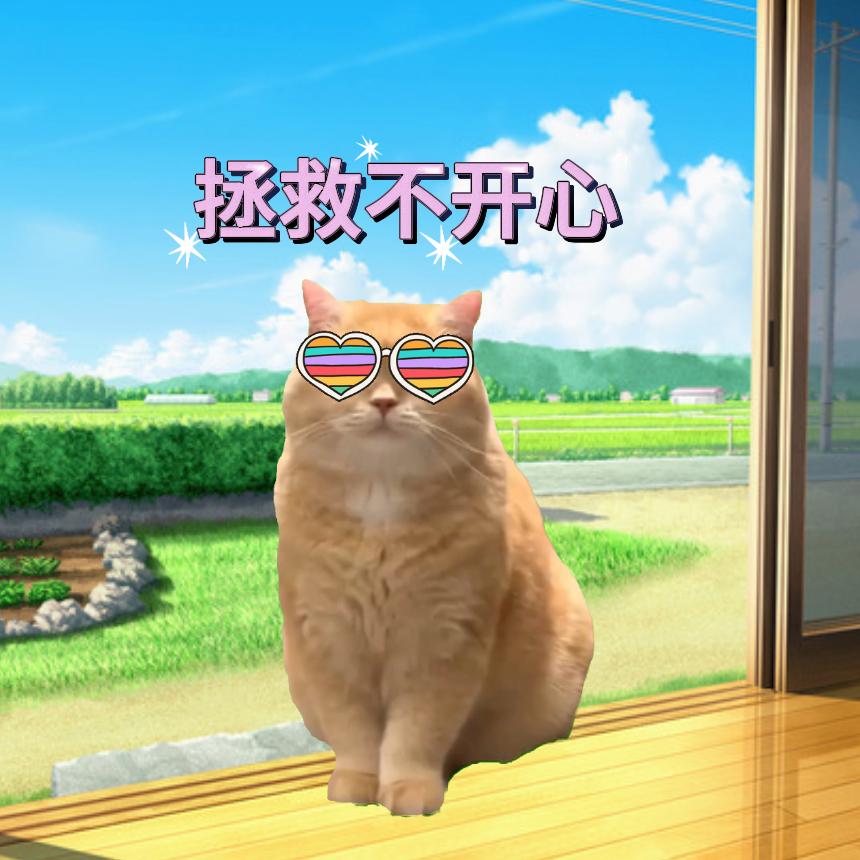 喵喵梗工厂