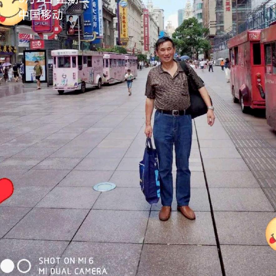 蓝粉炉子