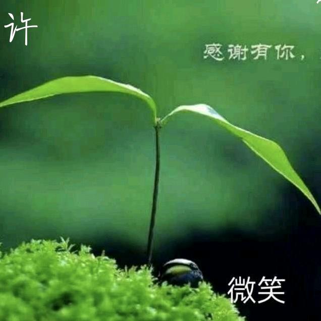 微笑许欢你