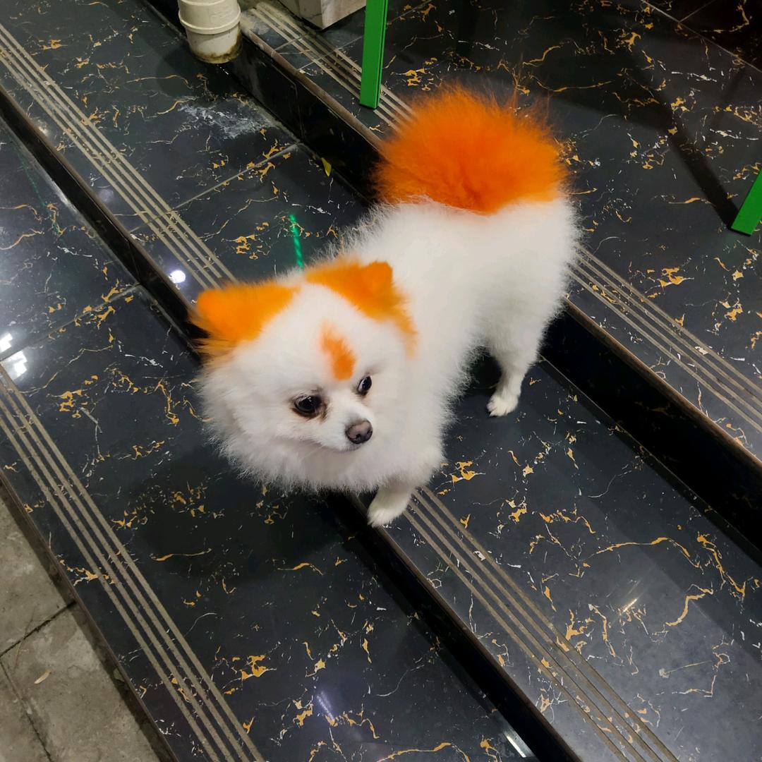 不知名的小十三